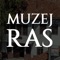 The application is a multilingual multimedia guide through the Ras Museum in Novi Pazar and provides visitors with detailed information on history and sights