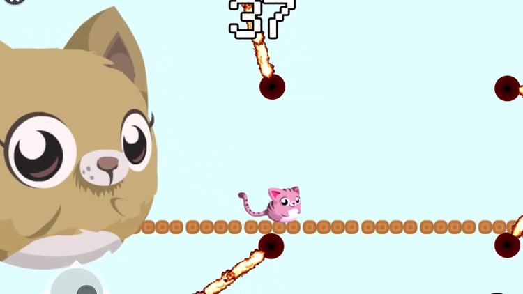 Walky Cat screenshot-7