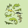 Icon Animals : Reptiles Quiz