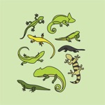 Animals  Reptiles Quiz