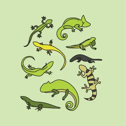 Animals : Reptiles Quiz Cheats