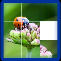 Photo Logic Game