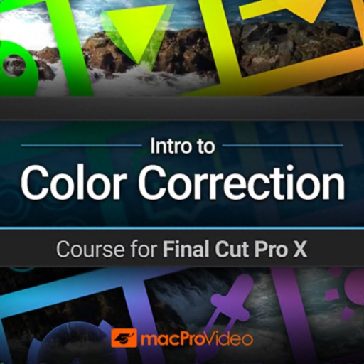 Intro to Color Correction Icon