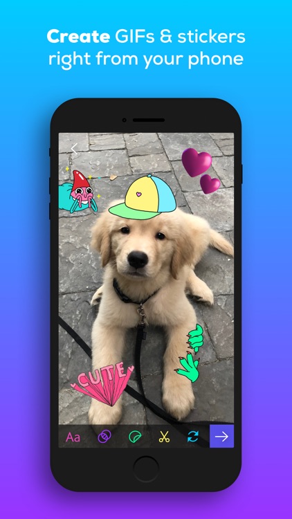 GIPHY: The GIF Search Engine screenshot-3