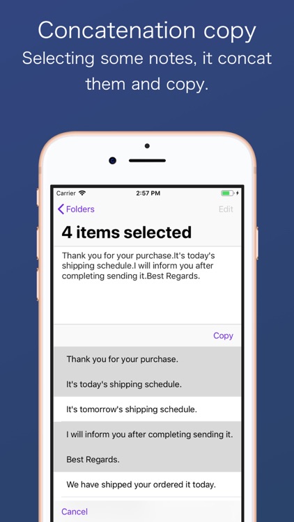 Snippet Notes screenshot-3