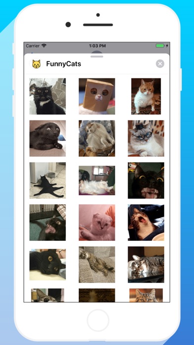 Talkitty - Cats Stickers screenshot 4