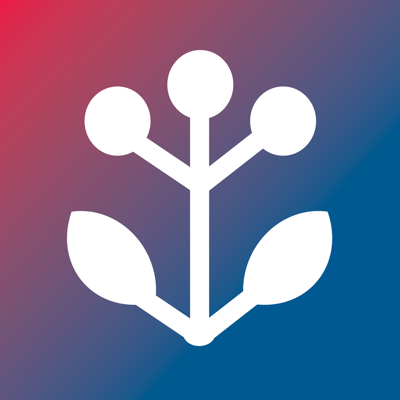 BKK VBU Hausmittel App