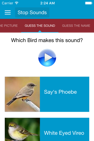 North American Birds Sounds screenshot 4
