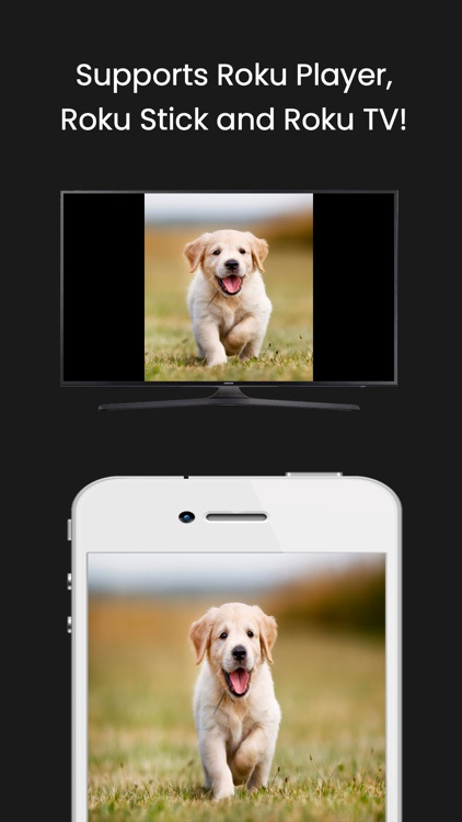 Air Mirror for Roku TV Screen