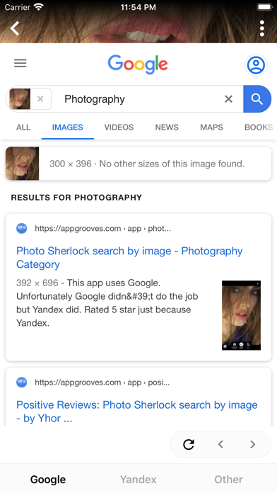 Photo Sherlock search by image screenshot 2
