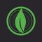 LIFE CHURCH is a community of real people, helping people connect with Jesus