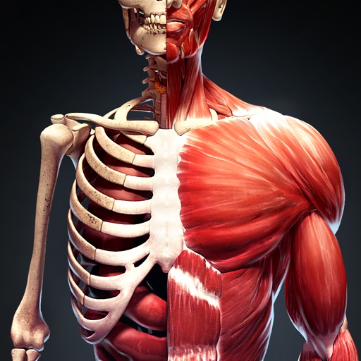 Discover Human Body 3D by Improvision