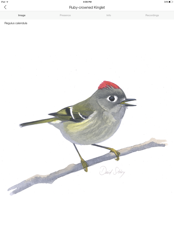 Song Sleuth: Auto Bird Song IDのおすすめ画像5