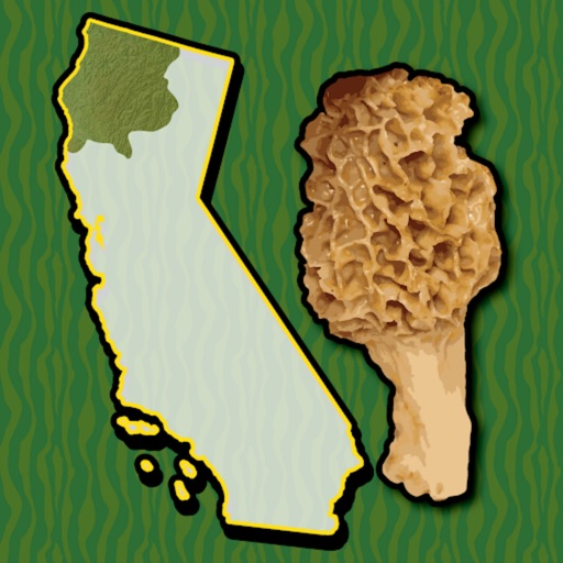 California NW Mushroom Forager Icon