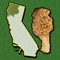 California NW Mushroom Forager