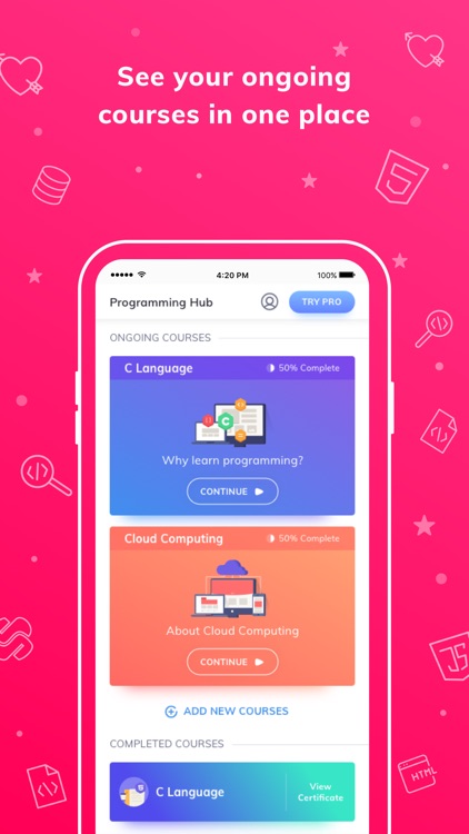 Programming Hub: Learn to code
