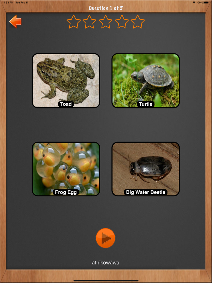 Learn LRR Woodland Cree