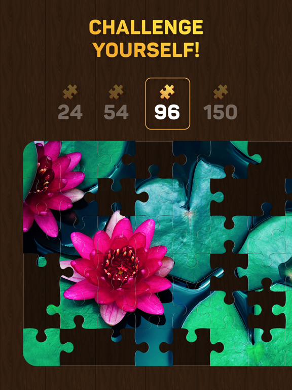 Jigsaw Puzzles for You screenshot 2