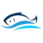سوق السمك - Fish Market