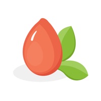 Koriz pour PC