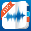 Denys Ievenko - eXtra Voice Recorder Pro アートワーク