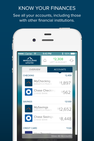 Peaks Money Manager screenshot 3