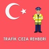 Trafik Ceza Rehberi 2020