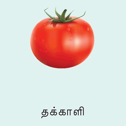 Learn Tamil FlashCards by Bala Murugan Chandran