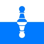 Board Chess Timer