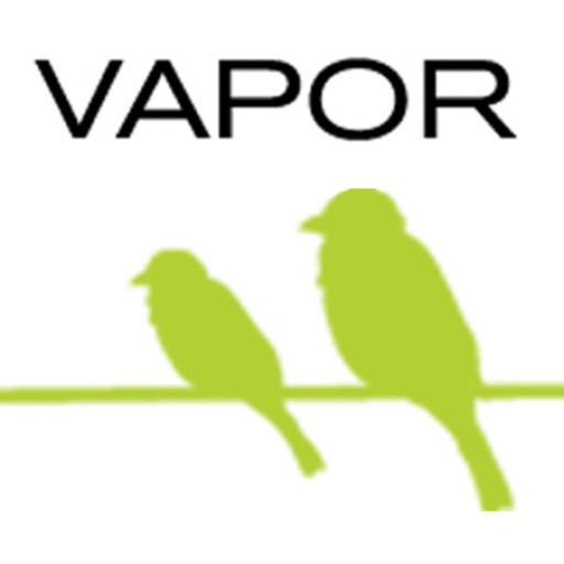 Vapor Music icon