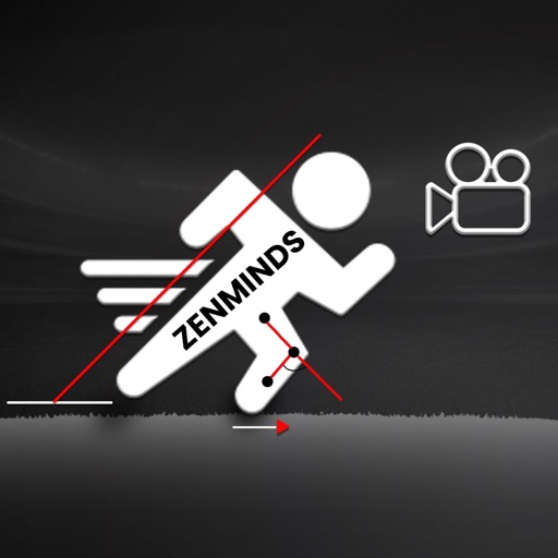 Zenminds Video Analysis