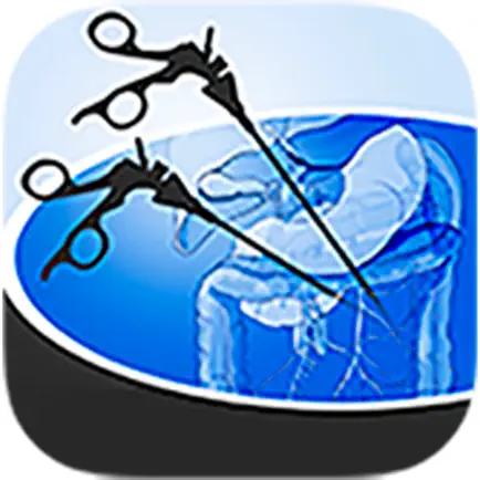 iLappsurgery TaTME Читы