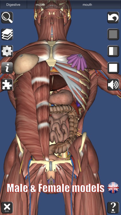 3D Anatomy screenshot-4