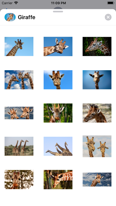 Lotsa Giraffe Stickers screenshot 2