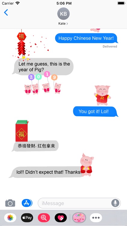 2019 Chinese New Year Pig CNY