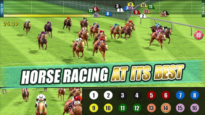 iHorse：The Horse Racing Arcade