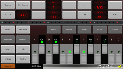 2XB303 Bass Sequencer... screenshot1