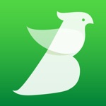 Birds Sounds and Melodies