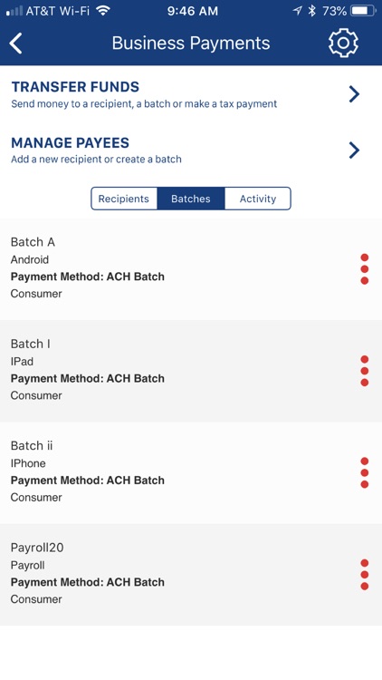 County Bank BIZ screenshot-6