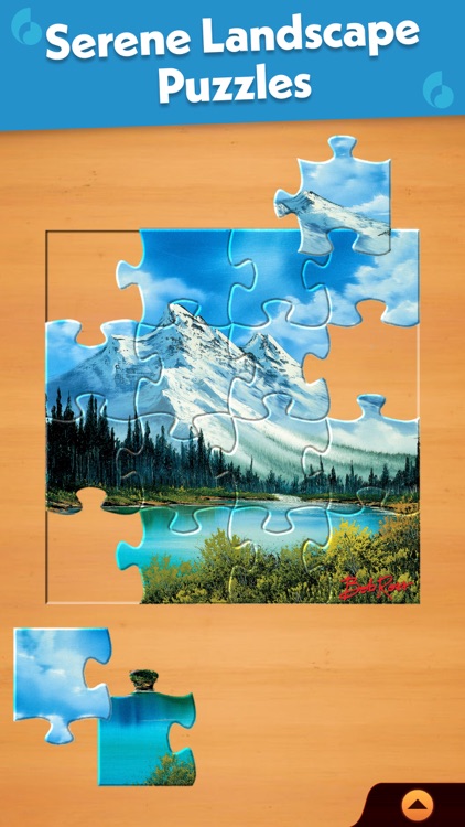 Jigsaw Puzzle Pro screenshot-5