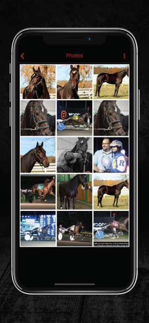 Jimmy Freight Stakes(圖2)-速報App