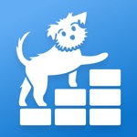 初學者瑜伽  Down Dog
