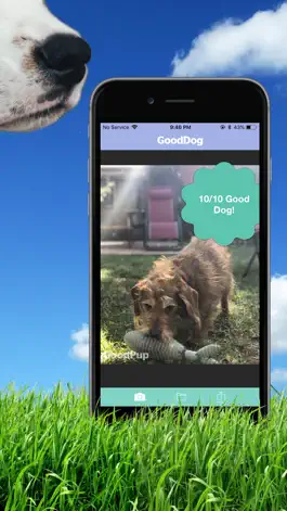 Game screenshot GoodDog! mod apk