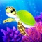 Welcome to Splash - one of the most relaxing fish games out there