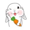 《包子脸垂耳兔》是一款iMessage表情贴纸，长耳兔生动喜人的表情看起来非常有趣，生动有灵气，让您和好友一起感受垂耳兔图片带来的快乐吧。