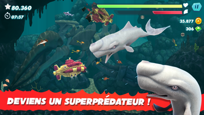 Hungry Shark Evolution Hungry Shark Evolution