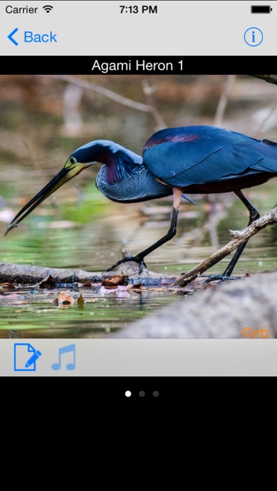 How to cancel & delete Costa Rica Birds from iphone & ipad 1