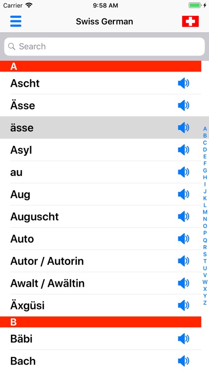 Swiss German Dictionary