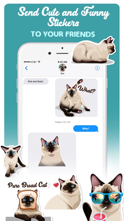 Siamese Cats Emoji Sticker screenshot-3