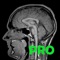 MRIcontrast Pro™ is a truly interactive simulator for magnetic resonance imaging (MRI)